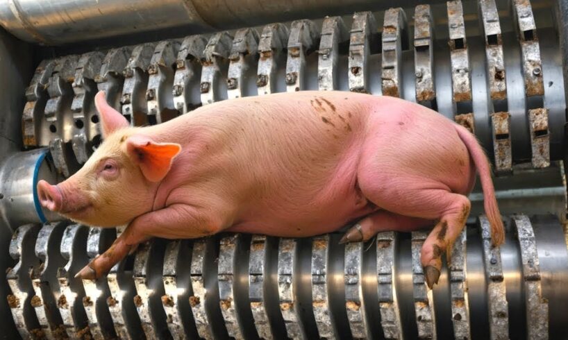 😱 Caught on Film: Factory Fails and Explosions That Went Terribly Wrong!