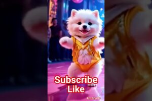 Cute Puppies Crazy Dance 💃 🤩| #funnyvideo​​ #cutepuppy​​ #dogshorts​​#funnyanimals​​ #viraldance​​#4