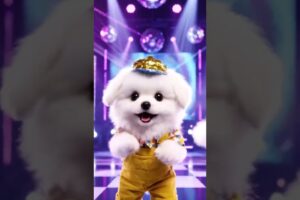 Cute puppies funny Dance | #funnyvideo​​ #cutepuppy​​ #viralshorts​​ #dogshorts​​