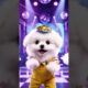 Cute puppies funny Dance | #funnyvideo​​ #cutepuppy​​ #viralshorts​​ #dogshorts​​