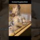 Cutest Puppies Ever #xyzbca #dogs #cuteanimals #tiktok #funny #funnypet #cute #halloween #fypシ #pup
