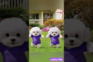 Cutest puppies doing a  graceful Dance with a Golden Vibe 🎶 😻#dog #puppydance #dogsofyt #shorts