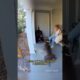 Dog Saves Owner From  Bear — Heartwarming Dog Rescue 🐶❤️