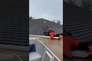 Dog Stranded on Roof During Flood — Saved by Boat Crew!  || AI Awareness ||