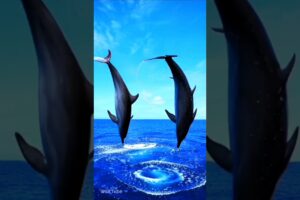 Dolphins playing and jumping |#dolphin #ocean#animals #ytshorts #shortsfeed .