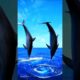 Dolphins playing and jumping |#dolphin #ocean#animals #ytshorts #shortsfeed .