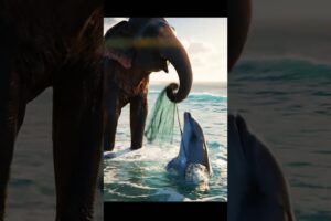 Elephant Rescues Dolphin Tangled in Fishing Net | Animals Rescue Mission on the Shore