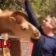 Epic Fails of the Week 🤯 Try Not to Laugh Challenge 2025