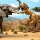 Epic Toy Animal Fights – Survival of the Strongest