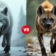 Epic Wild Animal Fights | Real Jungle Battle for Survival 4K