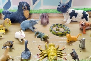 Exploring the Grip of Muddy Farm and Pet Animals Forest Animals in the Mud