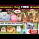FREE FREE Pomeranian Dog Available | Teacup Dog | Pocket Dog | Cute puppies price in India | #viral