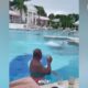 FailArmy! Funniest Fails Of The Week (3)