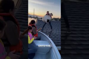 Family Rescues Goat From Flooded House Roof(1) || AI Awareness ||