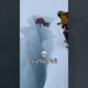 Glacier Jump | Near Death Moment