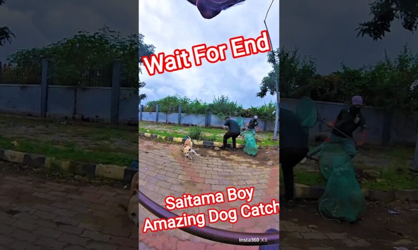 Goku Boy Amazing Dog Catch #dog #dogwithpublicsafety #ytviral #goku #rescue