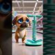 Heartwarming Cute Dog! From Shy to Making New Friends, The Magic of Pogo Stick Friendship! ❤️🐶