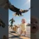 Heroic Pup Rescued The Baby | AI Rescue Story | #Rescue #Story #AI