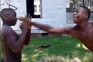 Hood Fight #fyp #viralvideo #viral #shortvideo #fighting #funny #knockout #explore #explorepage