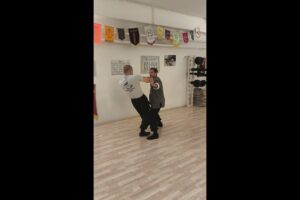 How to Kung Fu || Break and sting!