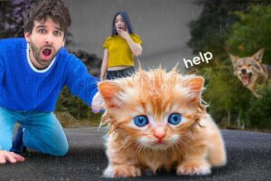 I RESCUED an Abandoned Kitten from a COYOTE ATTACK!