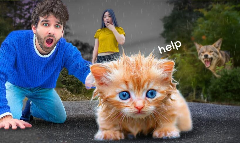 I RESCUED an Abandoned Kitten from a COYOTE ATTACK!