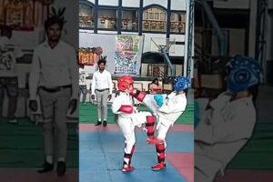 INSANE Karate Fights #shorts #youtube #karate #martialarts #taekwondo #fight #maincraft #shortsfeed