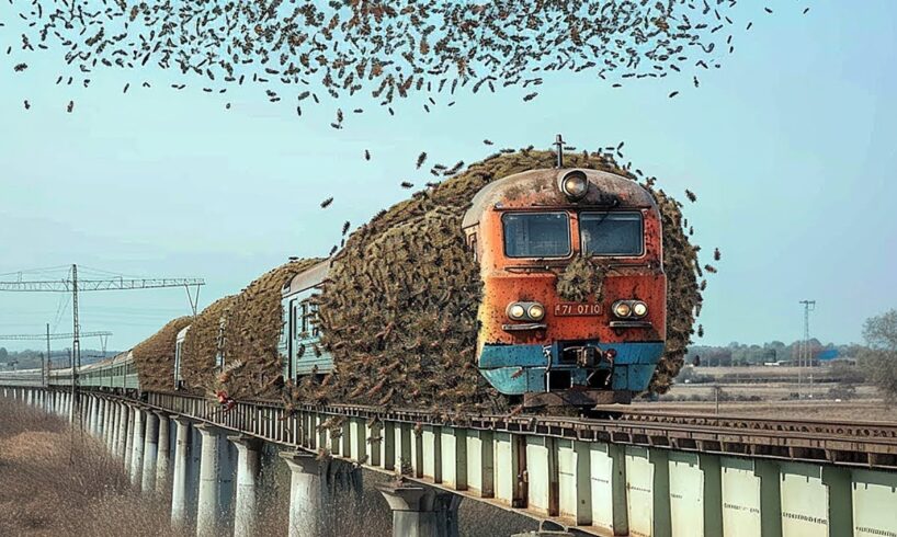 Incredible Moments Caught On Camera: The Most Unbelievable Footage Ever!