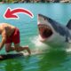 Luckiest People Caught on Camera
