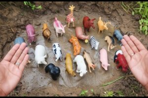 🚿MUDDY ADVENTURE WITH TOY ANIMALS, TOY ANIMALS PLAYING IN THE MUD | FUN FARM AND WILD ANIMALS