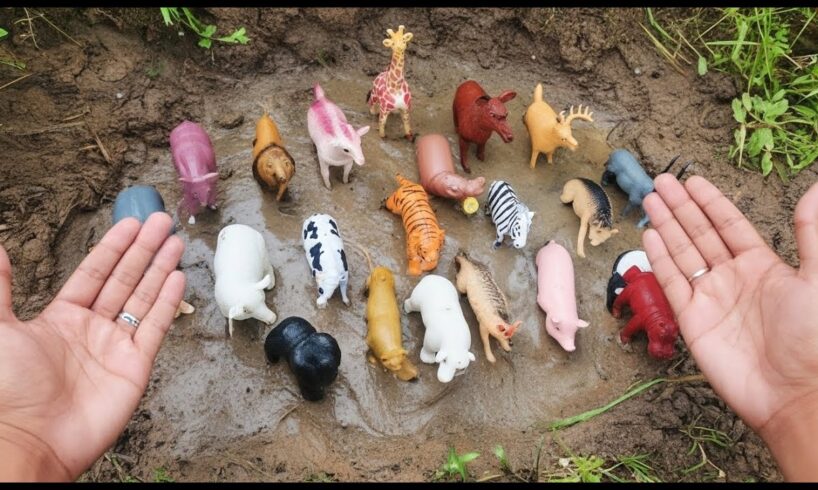 🚿MUDDY ADVENTURE WITH TOY ANIMALS, TOY ANIMALS PLAYING IN THE MUD | FUN FARM AND WILD ANIMALS