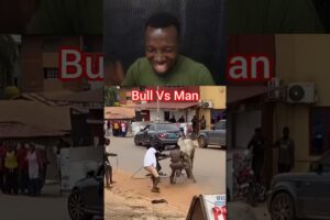 Man Vs Bull  ☠️  #peopleareamazing #amazingpeople #amazing #youtubereactions