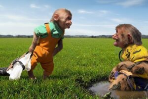 Monkey Bon Stops Moon from Playing in Mud – Quickly Grabs Clean Clothes!