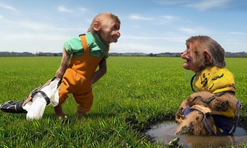 Monkey Bon Stops Moon from Playing in Mud – Quickly Grabs Clean Clothes!