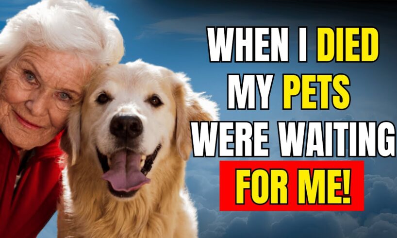 Narrated NDE Pet Stories  Near Death Experience Compilation