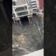 New landslide hits Bangkok sinkhole outside hospital