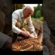 Old man rescues his son  #animalneighbors #wildlife #wildliferescue #animals #rescue #rescueanimals
