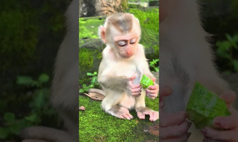 Ooh wow sweetie Adorable Baby happy playing like that #shorts  #Cutebaby #lovelybaby #ytlifestyle
