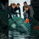Orca Rescue | Emotional Ocean Animal Rescue Video