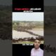 Other Animals Fear Water… But Tigers Love It! #trending #animals #wildlife #shorts #tiger #viral