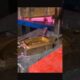 People are Awesome🇺🇸🇺🇸 #trending#skills #aura#trickshot #talentotiktok