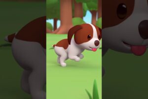 Puppy being Playful with Beetles! 🪲 | Leo the Wildlife Ranger | #shorts #animals #fun