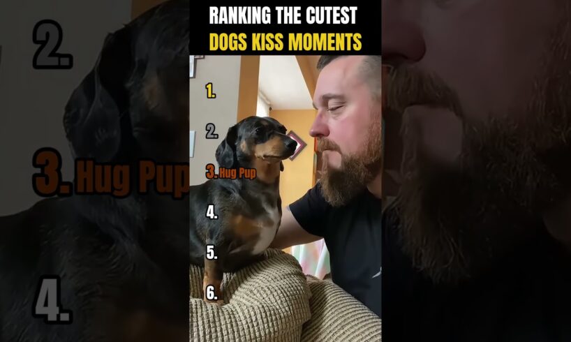 RANKING THE CUTEST DOGS KISS MOMENTS ๐ถ๐ | Heart Melting!