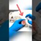 Rescuing A Cat Covered İn Thorns #rescue #cat #videos #viralvideo #shorts