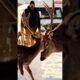Rescuing A Fawn Trapped in Ice | A Silent Plea for Help #shortsfeed  #viralshorts #shorts
