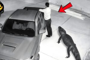 Seconds Before Impact – Terrifying Disasters Caught on Camera  #10