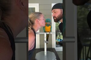 Smooching Our BIRDS 💋 #parrots #birds #funny #smooches