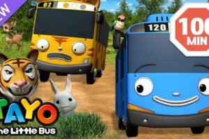 Tayo Animal Rescue Mission | Vehicles Cartoon for Kids | Tayo English Episodes | Tayo the Little Bus