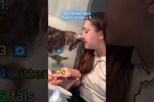 That ‘mama’ was too fluent🐈🎤
