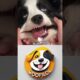 The Cutest Puppies That Will Melt Your Heart #dog #funny #memes
